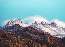 体育赛事直播：让每一个比赛夜晚成为你的专属高潮