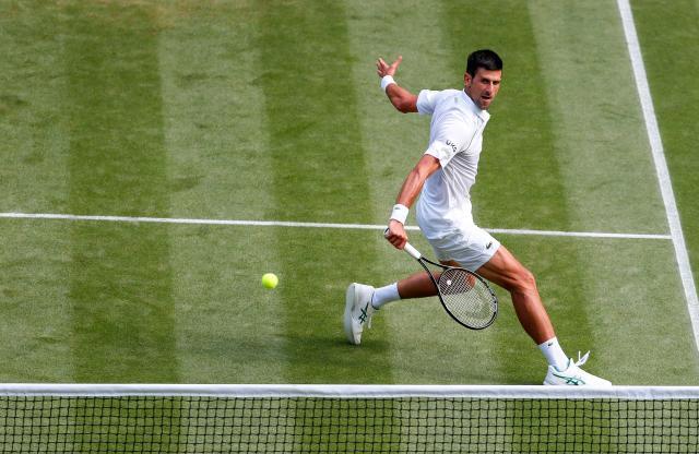 jjb-德约小遇挑战仍三盘晋级 第12次打入温网八强