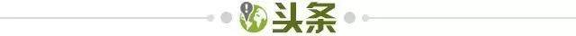 jingjibao-【早报】无颜面对江东父老！意足协主席引咎辞职